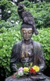 Кот и Будда.jpeg